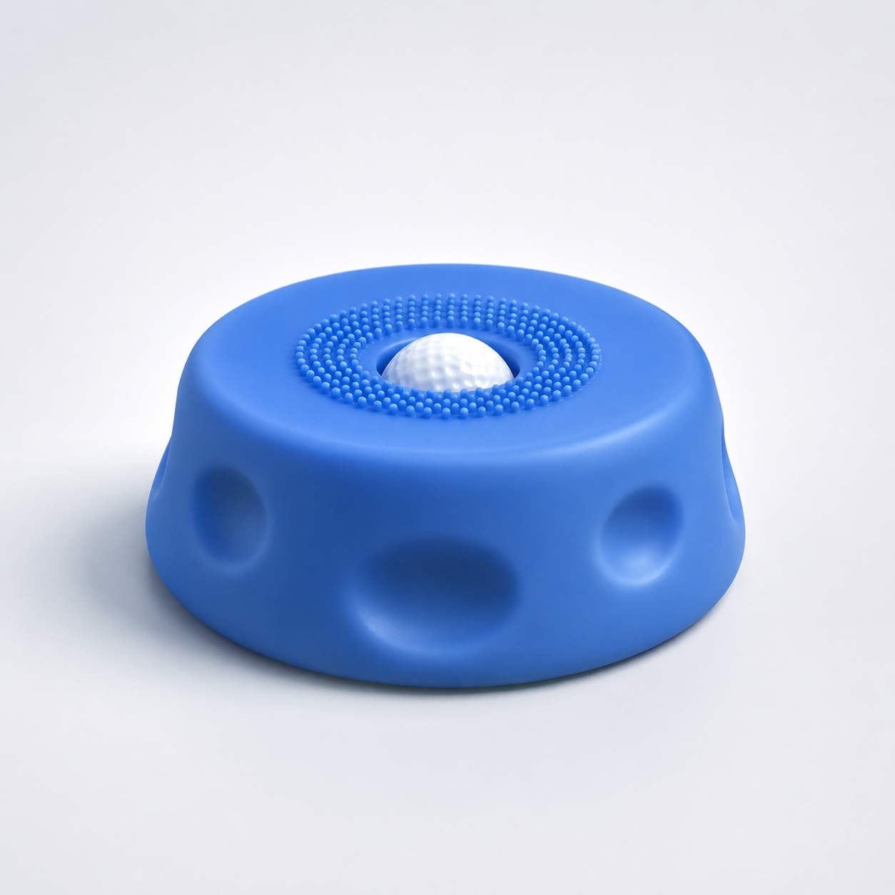 Slow Feeder Dog Bowl